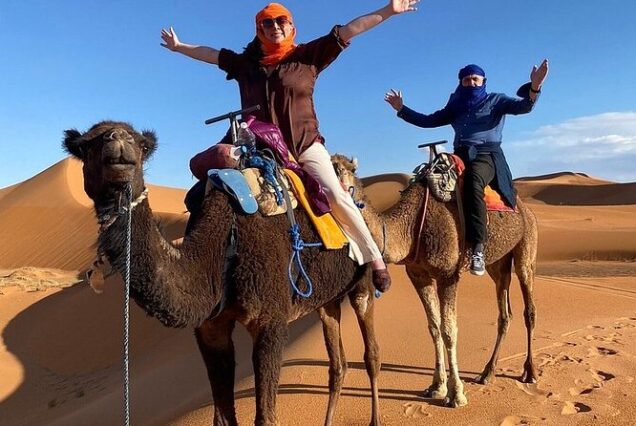 activities to do in marrakech morocco