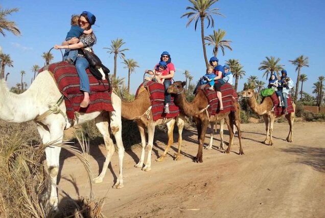 Camel Ride & Quad Bike Experience